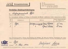 Vorläufige Empfangsbescheinigung