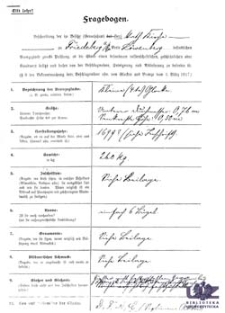 Fragebogen / Ankieta