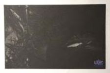 Eloi, Eloi, Lema sabachthami