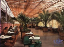 Zielona Góra; W kawiarni "Palmiarnia"