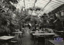 Zielona G&oacute;ra; Kawiarnia "Palmiarnia" - wnętrze