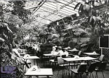 Zielona Góra; Wnętrze kawiarni "Palmiarnia"