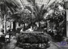 Zielona Góra; Wnętrze kawiarni "Palmiarnia"