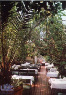 Zielona Góra; Wnętrze kawiarni "Palmiarnia"