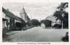 Świdnica / Schweinitz; Krs. Grünberg i. Schl. Hauptstraße
