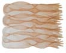 Bez tytułu (Ugrowo Brunatna)