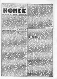 HOMEK: pismo Ruchu Alternatywnego, nr 32 (grudzień 1987)