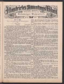 Illustrirtes Sonntags Blatt: Wöchentliche Beilage zum Grünberger Wochenblatt, No. 23. (1877)