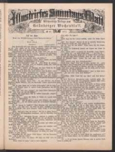 Illustrirtes Sonntags Blatt: Wöchentliche Beilage zum Grünberger Wochenblatt, No. 27. (1877)