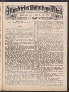 Illustrirtes Sonntags Blatt: Wöchentliche Beilage zum Grünberger Wochenblatt, No. 28. (1877)
