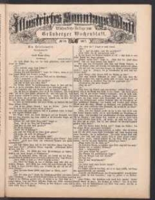 Illustrirtes Sonntags Blatt: Wöchentliche Beilage zum Grünberger Wochenblatt, No. 30. (1877)