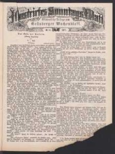 Illustrirtes Sonntags Blatt: Wöchentliche Beilage zum Grünberger Wochenblatt, No. 41. (1877)