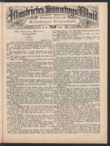 Illustrirtes Sonntags Blatt: Wöchentliche Beilage zum Grünberger Wochenblatt, No. 44. (1877)