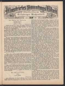 Illustrirtes Sonntags Blatt: Wöchentliche Beilage zum Grünberger Wochenblatt, No. 45. (1877)