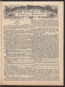 Illustrirtes Sonntags Blatt: Wöchentliche Beilage zum Grünberger Wochenblatt, No. 46. (1877)