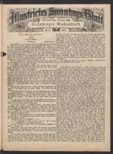 Illustrirtes Sonntags Blatt: Wöchentliche Beilage zum Grünberger Wochenblatt, No. 47. (1877)