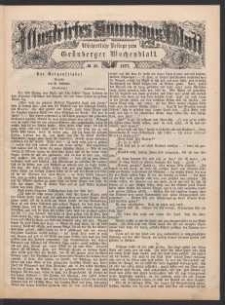 Illustrirtes Sonntags Blatt: Wöchentliche Beilage zum Grünberger Wochenblatt, No. 48. (1877)