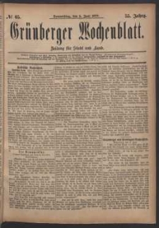 Grünberger Wochenblatt: Zeitung für Stadt und Land, No. 65. (5. Juni 1879)