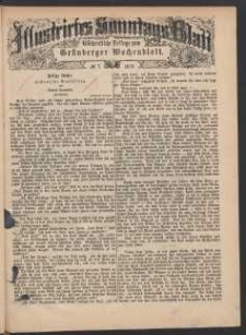 Illustrirtes Sonntags Blatt: Wöchentliche Beilage zum Grünberger Wochenblatt, No. 7. (1879)