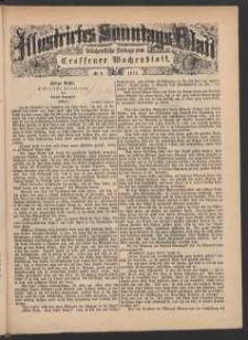 Illustrirtes Sonntags Blatt: Wöchentliche Beilage zum Grünberger Wochenblatt, No. 9. (1879)