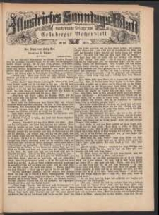 Illustrirtes Sonntags Blatt: Wöchentliche Beilage zum Grünberger Wochenblatt, No. 20. (1879)