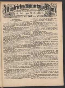 Illustrirtes Sonntags Blatt: Wöchentliche Beilage zum Grünberger Wochenblatt, No. 25. (1879)