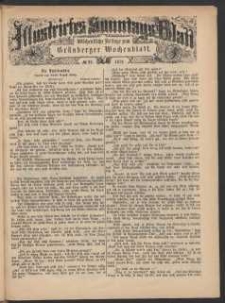 Illustrirtes Sonntags Blatt: Wöchentliche Beilage zum Grünberger Wochenblatt, No. 29. (1879)