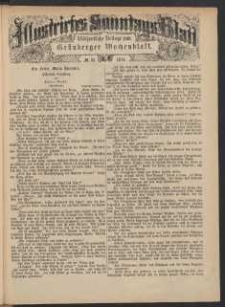 Illustrirtes Sonntags Blatt: Wöchentliche Beilage zum Grünberger Wochenblatt, No. 35. (1879)