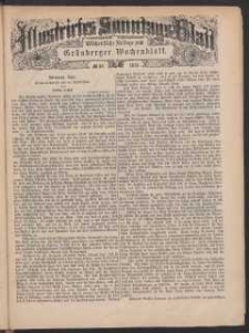 Illustrirtes Sonntags Blatt: Wöchentliche Beilage zum Grünberger Wochenblatt, No. 40. (1879)