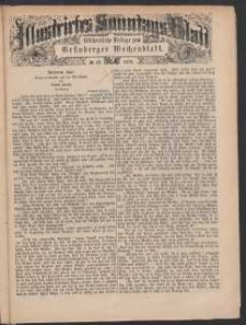 Illustrirtes Sonntags Blatt: Wöchentliche Beilage zum Grünberger Wochenblatt, No. 42. (1879)