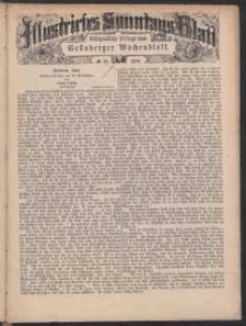 Illustrirtes Sonntags Blatt: Wöchentliche Beilage zum Grünberger Wochenblatt, No. 43. (1879)