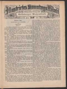 Illustrirtes Sonntags Blatt: Wöchentliche Beilage zum Grünberger Wochenblatt, No. 44. (1879)