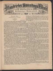 Illustrirtes Sonntags Blatt: Wöchentliche Beilage zum Grünberger Wochenblatt, No. 49. (1879)