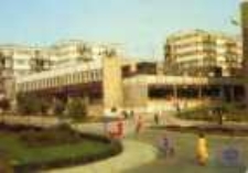 Zielona Góra; Osiedle mieszkaniowe "Morelowa"