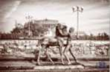 Zielona Góra; Wzgórze Winne, Palmiarnia