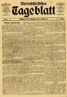 Niederschlesisches Tageblatt, no 45 (Sonnabend, den 22. Februar 1913)