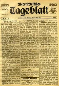 Niederschlesisches Tageblatt, no 65 (Dienstag, den 18. März 1913)