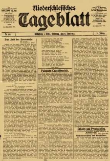 Niederschlesisches Tageblatt, no 132 (Sonntag, den 8. Juni 1913)