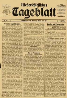 Niederschlesisches Tageblatt, no 133 (Dienstag, den 10. Juni 1913)