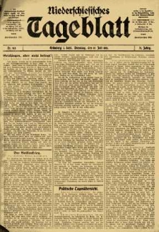 Niederschlesisches Tageblatt, no 163 (Dienstag, den 15. Juli 1913)