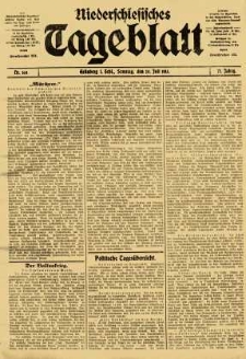 Niederschlesisches Tageblatt, no 168 (Sonntag, den 20. Juli 1913)