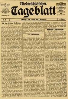 Niederschlesisches Tageblatt, no 178 (Freitag, den 1. August 1913)