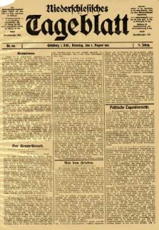 Niederschlesisches Tageblatt, no 181 (Dienstag, den 5. August 1913)