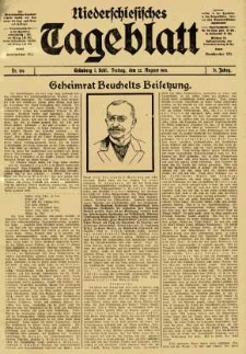 Niederschlesisches Tageblatt, no 196 (Freitag, den 22. August 1913)