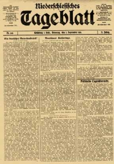Niederschlesisches Tageblatt, no 205 (Dienstag, den 2. September 1913)