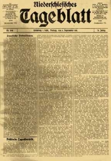 Niederschlesisches Tageblatt, no 208 (Freitag, den 5. September 1913)