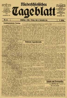 Niederschlesisches Tageblatt, no 220 (Freitag, den 19. September 1913)