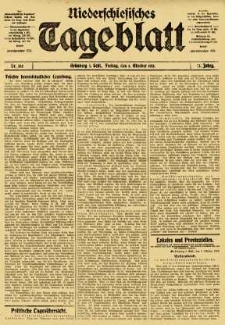 Niederschlesisches Tageblatt, no 232 (Freitag, den 3. Oktober 1913)