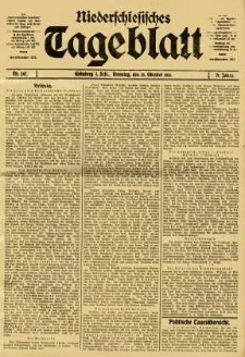 Niederschlesisches Tageblatt, no 247 (Dienstag, den 21. Oktober 1913)