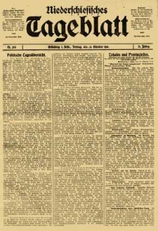 Niederschlesisches Tageblatt, no 250 (Freitag, den 24. Oktober 1913)